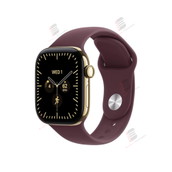 Apple Watch Series 12