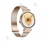 Huawei GT6 GPS + Wifi Smartwatch, 41 mm Stainless Steel Case with Gold Milanese Strap Huawei GT6 GPS + Wifi Smartwatch, 41 mm Stainless Steel Case with Gold Milanese Strap